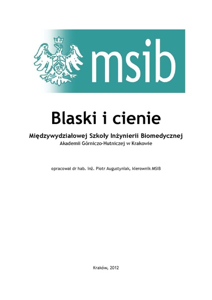 Plik:Blaski i cienie MSIB.pdf